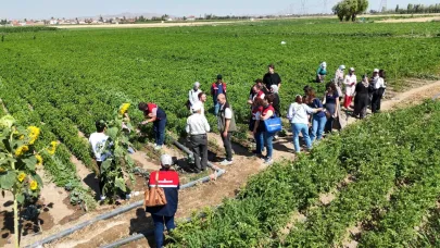 Tarım Müdürlüğü Stajyerleri Fethibey’de Sebze Yetiştiriciliğini Yerinde Gözlemledi