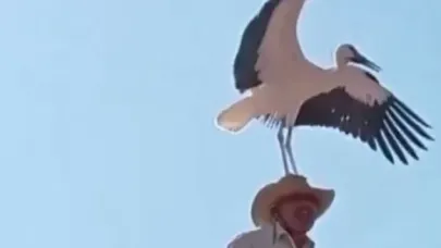 İnşaat Ustasına Beklenmedik Sürpriz