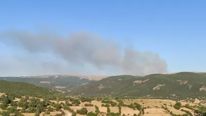 Afyonkarahisar'da Orman Yangını
