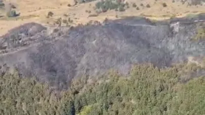 Afyon’da ki Yangında Yaklaşık 5 Hektarlık Alan Zarar Gördü