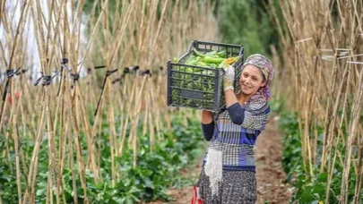 Genç Çiftçilere Büyük Müjde: Bedelsiz Arazi, Düşük Faizli Kredi ve Konut Desteği Geliyor