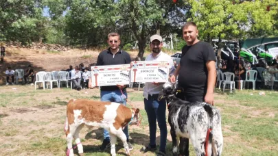 Festivalde Afyon’un En Güzel Kuzu ve Buzağısı Seçildi