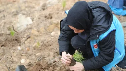 TDV’den “1 İyilik 1 Fidan” Projesiyle Fidan Seferberliği