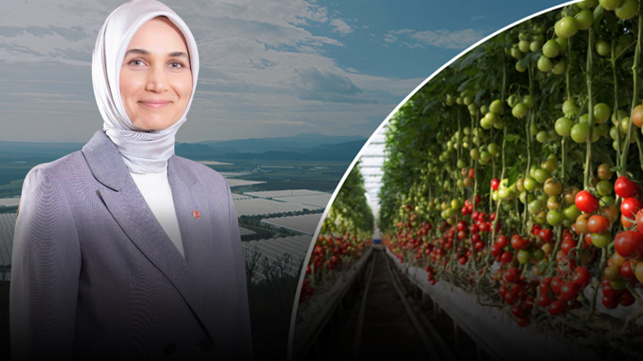 Afyonkarahisar’da Jeotermal Kaynaklı Sera OTB İçin Ön Talep Süreci Başladı