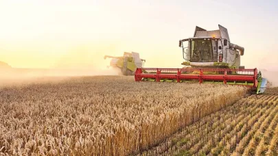 Bitkisel Üretim Desteklerinde Yeni Düzenleme: İkinci Ürün Soya İçin Ek Ödeme