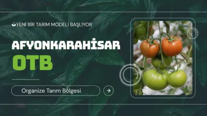 Afyon’da 3 İlçeyi Kapsayan Organize Tarım Bölgesi ile Üretim Artacak!