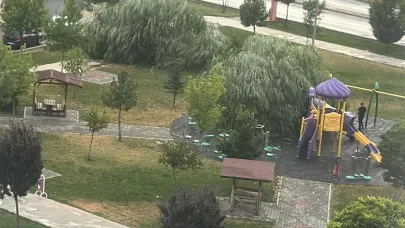 Afyon’da Ağaçlar Devrildi, Kentte Yaşam Olumsuz Etkilendi