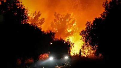 Çanakkale Bayramiç’teki Yangında Hasar Tespit Çalışmaları Başladı