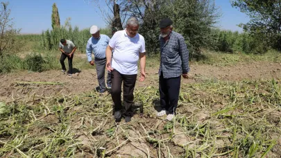 Milletvekili Yurdunuseven’den Nuribey’de Dolu Zararına Yerinde İnceleme
