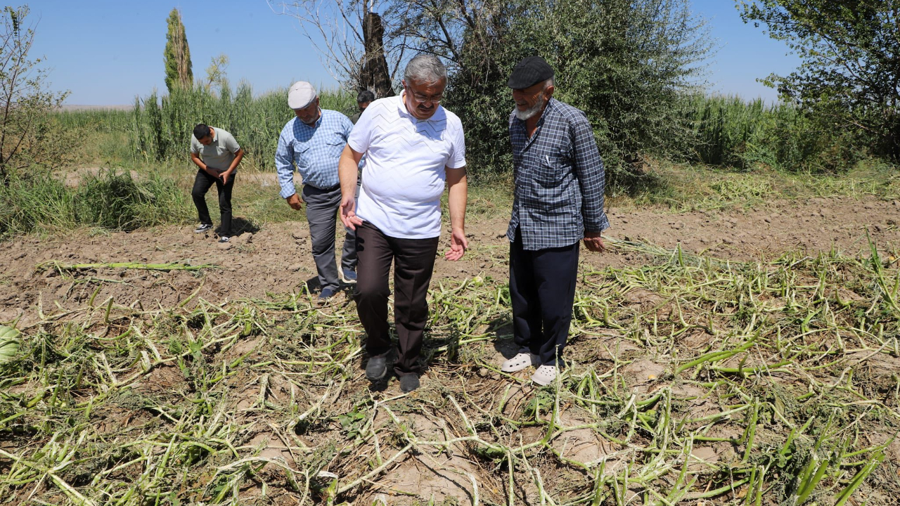 Milletvekili Yurdunuseven’den Nuribey’de Dolu Zararına Yerinde İnceleme