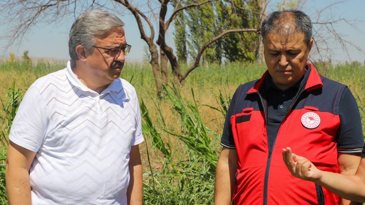Milletvekilli Yurdunuseven’den Çiftçilere Destek Sözü