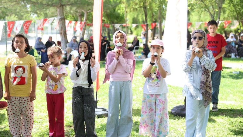 Milli Görüşçüler Piknikte Buluştu