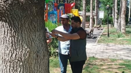 Horan Parkı’nda Ağaç Sağlığı Kontrolü Yapıldı