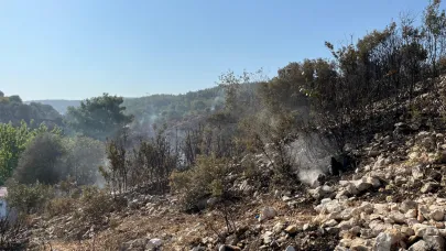 Buca Yangını Kontrol Altında; 3 Kişi Gözaltında