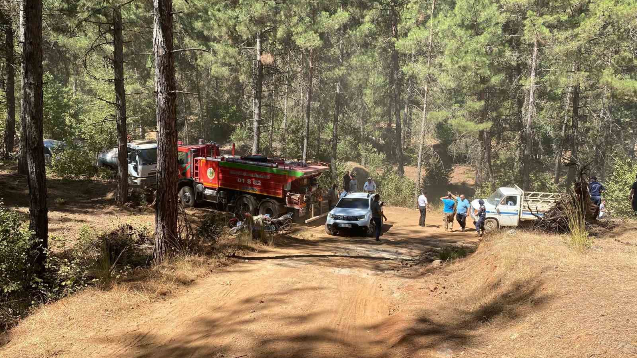 Orman Yangınında Yaralanan Gönüllü Hayatını Kaybetti