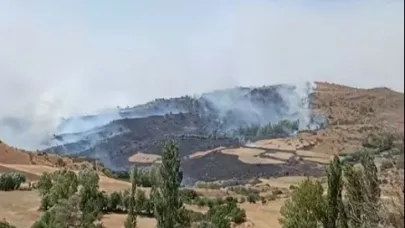 Afyon Sinanpaşa’da Orman Yangını Paniği