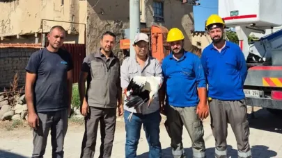 Sandıklı’da Balya İplerine Takılan Leylek Kurtarıldı