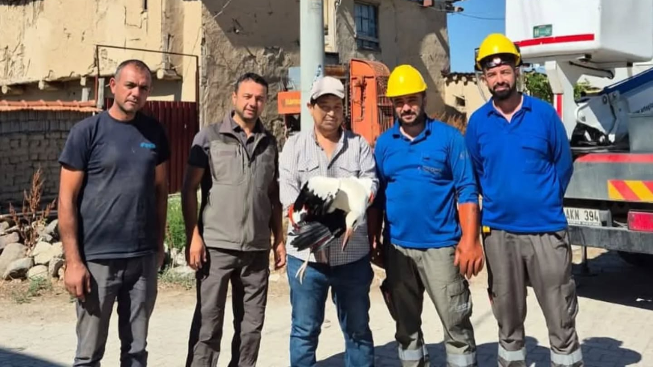 Sandıklı’da Balya İplerine Takılan Leylek Kurtarıldı