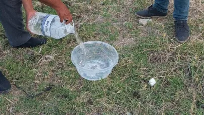 Muhtardan Sokak Hayvanlarına Hayat Veren Dokunuş