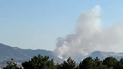 Emirdağ’da Orman Yangını Paniği