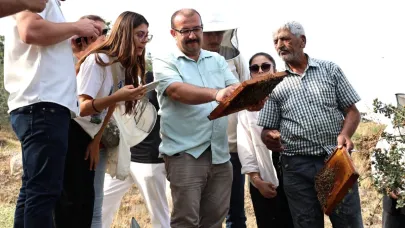 Stajyer Öğrenciler Arı Yetiştiriciliğini Yerinde İnceledi