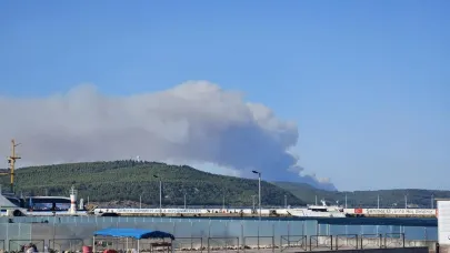 Çanakkale Gelibolu’da Orman Yangını: Müdahale Sürüyor