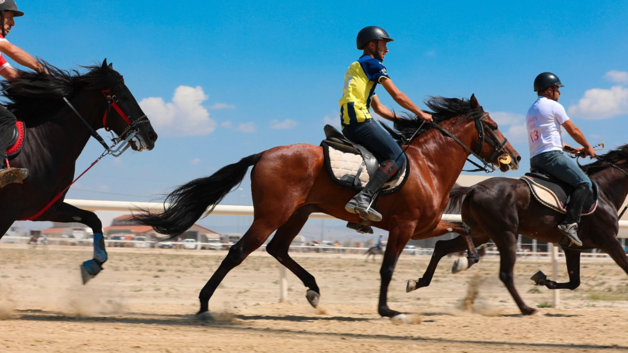 Rahvan At Yarışları Zafer Kupası İçin Geri Sayım Başladı