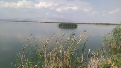 Eber Ve Akşehir Gölleri Eylem Planına Yönelik Çalışmalar Sürüyor
