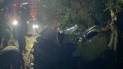 Otomobil Zeytinliğe Uçtu, 2 Ölü 1 Yaralı