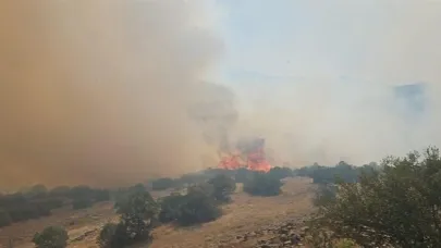 Balıkesir’de Orman Yangını