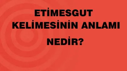 Etimesgut anlamı nedir?