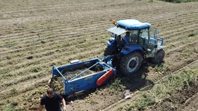 Afyon’da  Kışlık Patates Hasadı Başladı, Rekolte Üreticilerin Yüzünü Güldürdü
