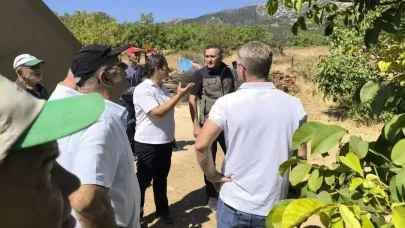 Dinar'da Hasat Öncesi Ceviz Bahçelerine Ziyaret