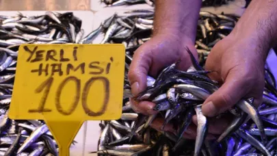 Hamsi kilogramı 100 liradan tezgahlardaki yerini aldı