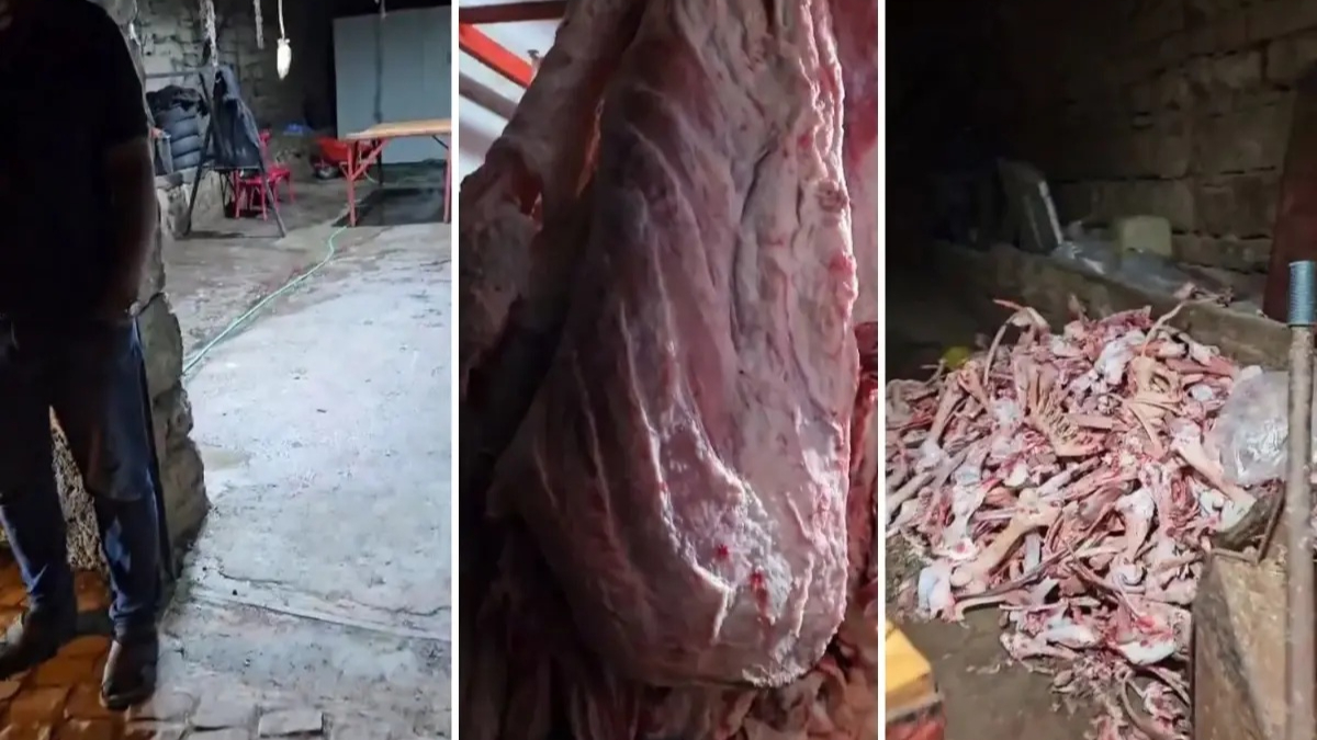Et Denince Akla Gelen Kayseri’de Skandal! Ahırda 1,5 Ton Et Ele Geçirdi
