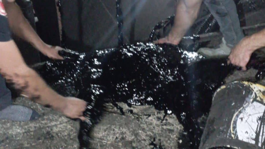 Zift Kazanına Düşen Köpeği Veteriner Ve İtfaiye Ekipleri Kurtardı
