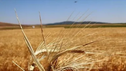 Tarım ve Orman Bakanlığı 2026 Bitkisel Üretim Desteklerini Açıkladı