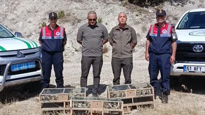 DKMP Ekipleri İzinsiz Yakalanan Şaka Kuşu Ele Geçirdi