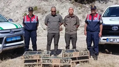 DKMP Ekipleri İzinsiz Yakalanan Saka Kuşu Ele Geçirdi