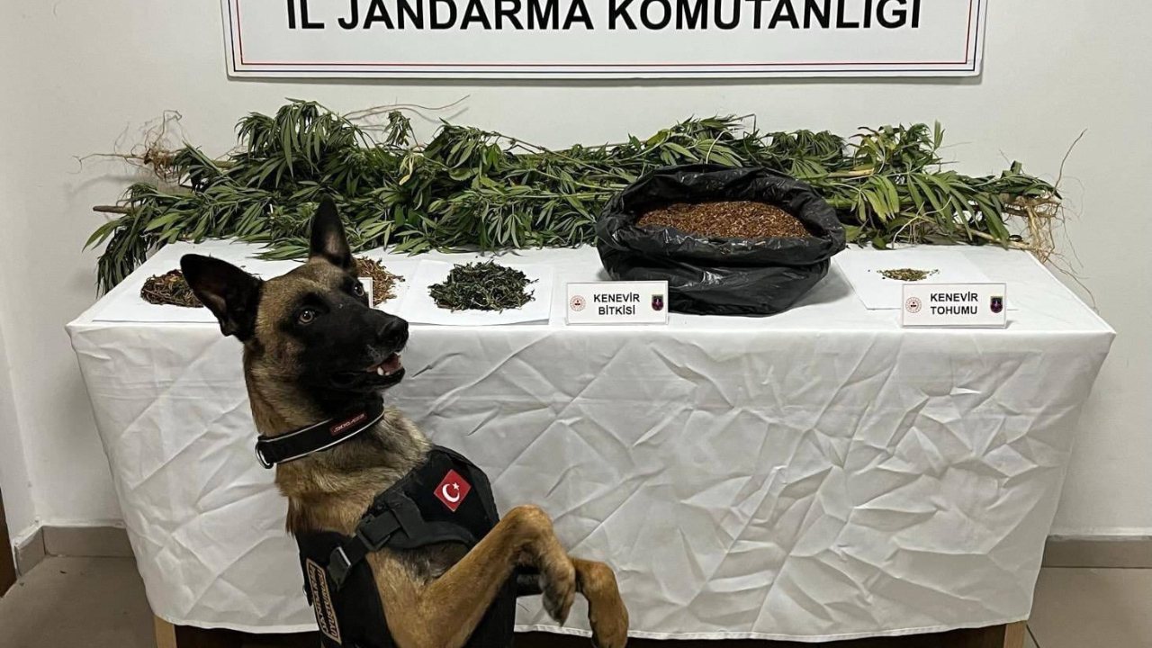 Afyonkarahisar’da Zehir Tacirlerine Darbe, 18 Gözaltı, 4 Tutuklama!