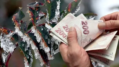 Zirai Don Destek Ödemeleri 2025: Ne Zaman Yatacak, Kimler Yararlanacak?