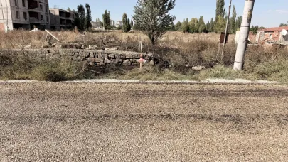 84 Yaşındaki Adam Otları Yakarken Hayatını Kaybetti