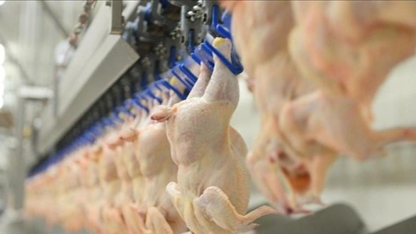 Beyaz Et Sektöründe 13 Şirkete 3,7 Milyar Lira Ceza