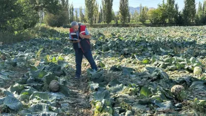 Afyonkarahisar'da Tarımsal Kontroller Devam Ediyor