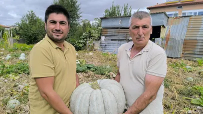 Şuhut’ta Balkabağı Hasadı Başladı!