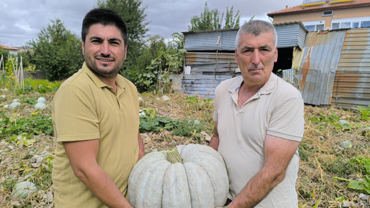 Şuhut’ta Balkabağı Hasadı Başladı!