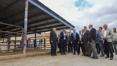 Bakan Yardımcısı Gümen, Çayırbağ Hayvan Pazarı'nda İncelemelerde Bulundu