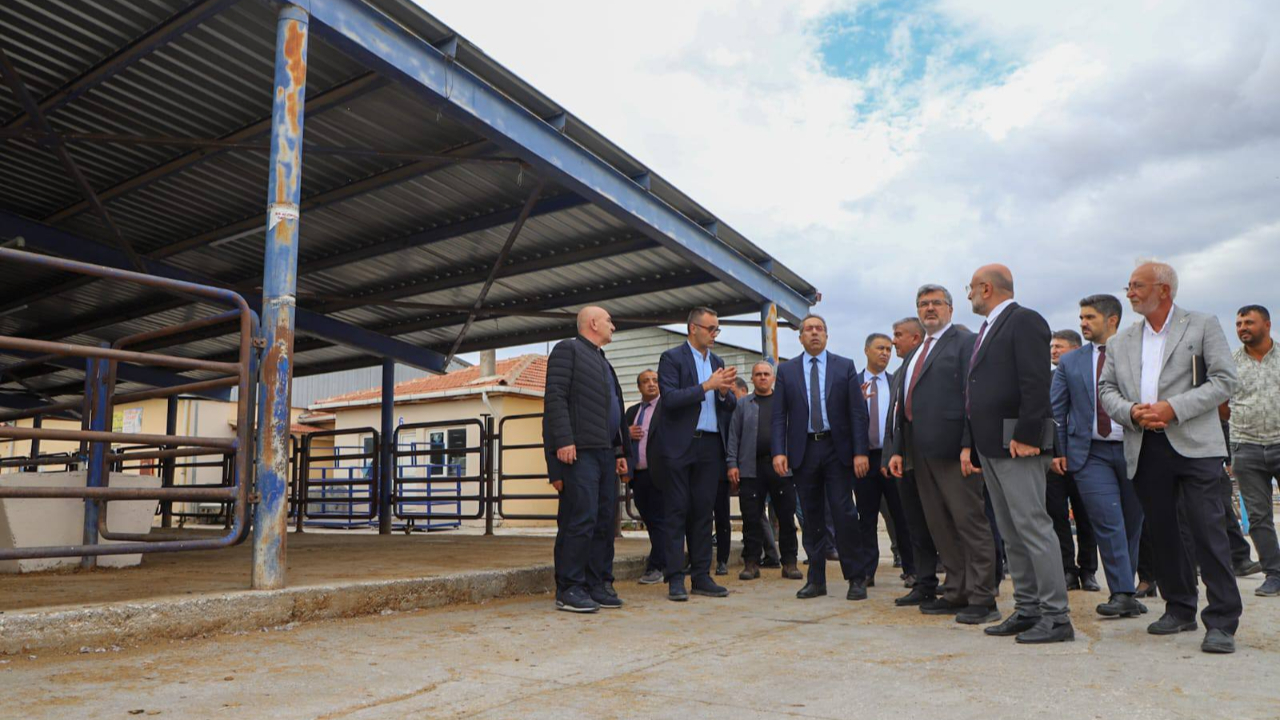 Bakan Yardımcısı Gümen, Çayırbağ Hayvan Pazarı'nda İncelemelerde Bulundu
