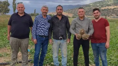 Dinar’da Şeker Pancarı Hasadı Başladı