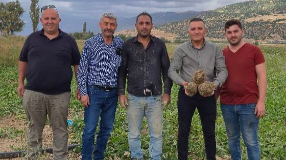 Dinar’da Şeker Pancarı Hasadı Başladı